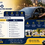 Dịch Vụ Lái Xe Hộ Hay Taxi